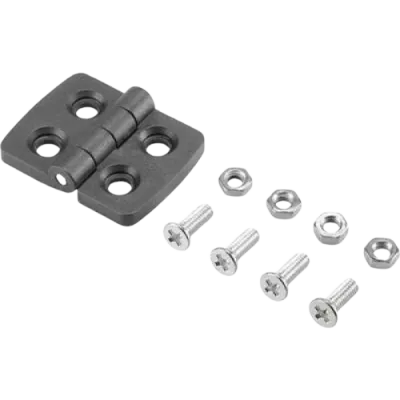Plastic Hinges