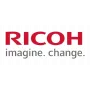 Ricoh H9149722 Friction Pad Assembly
