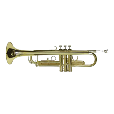 Wind & Brass Instruments