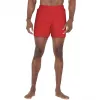 Nike Essential 5 Men's Swimming Shorts Red NESSF560 614 Size M