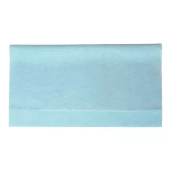 Panasonic CF-VNC002U - Cleaning Wipes - Blue (Pack of 10)