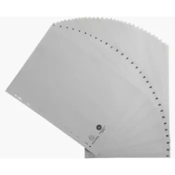 Exacompta 1931E Index 1-31, A4, Polypropylene, Grey