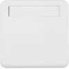 Hager Intermediate Ring Polar White Gloss WWA8300PW
