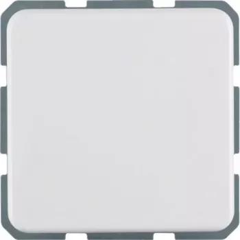 Hager WWS1211PW SCHUKO Socket with Hinged Cover and Increased Contact Protection, Flush-Mounted, Polar White Glossy