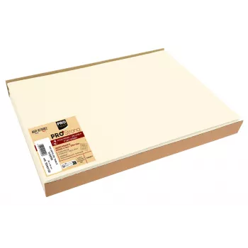PROnappe Disposable Placemat Spunbond 400 x 300 mm, Ivory, PP