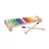 Janod Gioia Xylophone and Cymbals Musical Toy from 18 Months