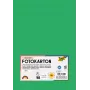 Folia 614/50 54 - Green - Single-Coloured - A4 (210 x 297 mm) - 300 g/m² - 50 Sheets - Germany
