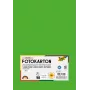 Folia 614/50 55 - Green - Plain - A4 (210 x 297 mm) - 300 g/m² - 50 Sheets - Germany