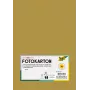 Folia 614/50 65 - Gold - Solid Color - A4 (210 x 297 mm) - 300 g/m² - Matt - 50 Sheets