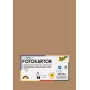 Folia 614/50 75 - Brown-Red - Monochrome - A4 (210 x 297 mm) - 300 g/m² - 50 Sheets - Germany