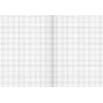 BRUNNEN Recycling School Notebook Lineatur 22, Squared Without Margin, A4