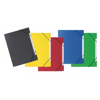PAGNA 5-Compartment Organiser Folder Basic 5 Compartments Assorted Colours