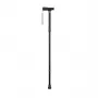 Weinberger Folding Walking Stick