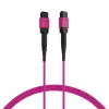EFB ELEKTRONIK MPO-PLUS(F)-MPO-PLUS(F) Patch Cable OM4 8 Fibres Type B LSZH Heather Violet 15m