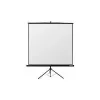 Reflecta Crystal-Line Tripod 240x240 cm Matte White Projection Screen