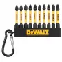 DEWALT DT7276-QZ Screwdriver Bit