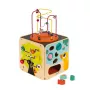 Janod Large Learning Cube with Bead Labyrinth J08256