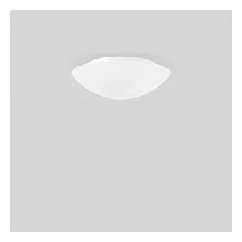 RZB 211059.002 Opal Glass Luminaire 2x60W Silk Matte D=370mm