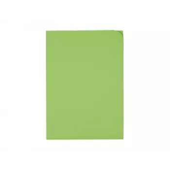 ELCO Ordo Discreta Organisational File A4, 220 x 310 mm, 120 g/m², Intense Green, 100 Pieces (29466.62)