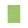 ELCO Ordo Discreta Organisational File A4, 220 x 310 mm, 120 g/m², Intense Green, 100 Pieces (29466.62)