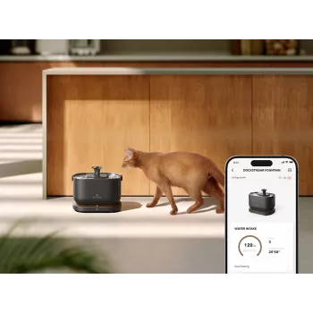 Petlibro Dockstream App Water Fountain, Black