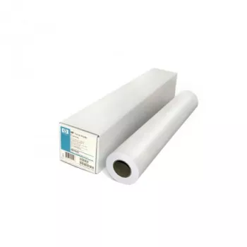 HP Professional Matte Canvas Roll 42-inch 430 g/m² for Designjet 5000 5500 Z2100 Z3100