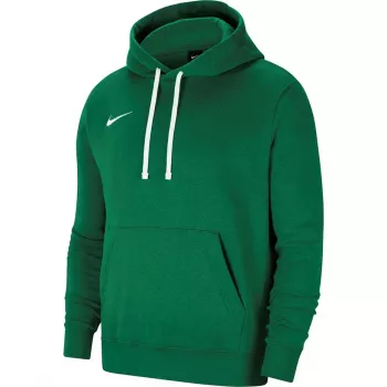 Nike Park 20 Hoodie Spark Green CW6957 302