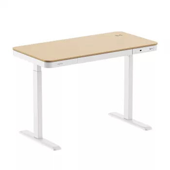 LogiLink Sit-Stand Desk, Single Motor, 118x60cm, with Wireless Charging, White