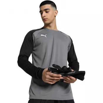 Puma teamPACER GK LS Men's Goalkeeper Sweatshirt Grey