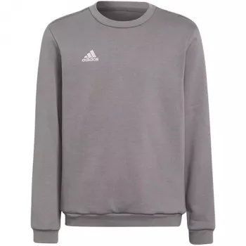 adidas Entrada 22 Sweat Top Children Grey Sweatshirt H57477 (116 cm)