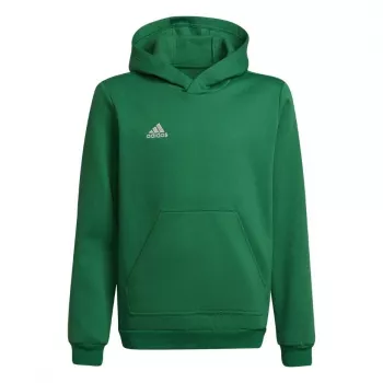 adidas Entrada 22 Hoody Children Sweatshirt Green 116cm