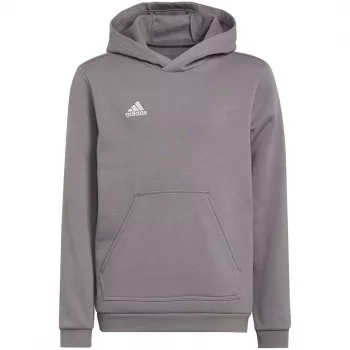 adidas Entrada 22 Hoody Kids' Sweatshirt Grey 152 cm