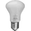 Elinchrom Modelling Lamp 100 W 196 V E27, 3200 K (EL-23002)