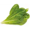 Click & Grow SGR50X3 Lettuce Plant Pod Refill (3-Pack)