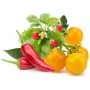 Click & Grow Fruit and Vegetable Mix Plant Pods for Smart Garden, 9-Pack (PPMFVX9)