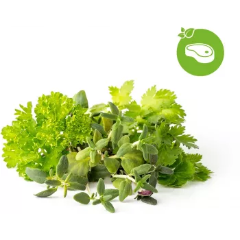 Click & Grow Steak Seasoning Mix Plant Pods for Smart Garden, 9-Pack (PPMSSX9)