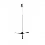 Hamilton KB241M Straight Microphone Stand with Height Adjustment, Black