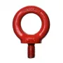 DSIT M8 ring screw