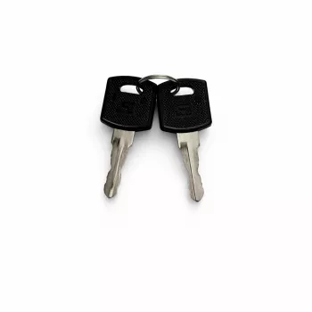 DSIT Spare Key Set for Outdoor Server Cabinet Doors (9U-22U) - 2 Keys, DS-KEY-OUT-M