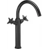 DEANTE Arnika High Basin Mixer Chrome Single-Lever Mixer for Surface Mounting
