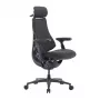 LiberNovo Omni Pro 48 cm Ergonomic Chair (Graphite)