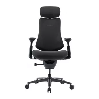 LiberNovo Omni Pro 48 cm Ergonomic Chair (Graphite)