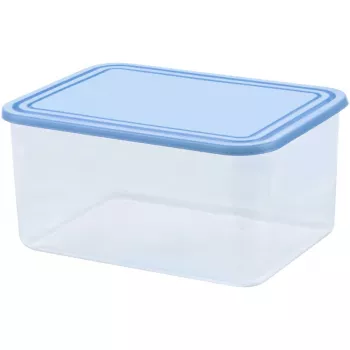 CURVER Smart To Go Rectangular Storage Box 4L Transparent with Blue Lid