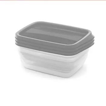 CURVER Storage Box Set Rectangular 3x1L Vedo Transparent Grey