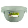 CURVER Kitchen Essentials Colander, Green
