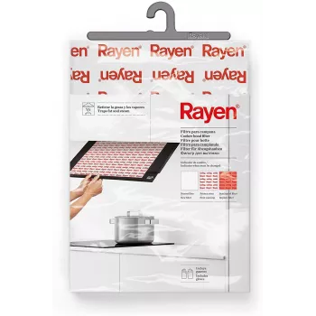 RAYEN Cooker Hood Filter with Indicator 57x47cm