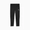 Men's Trousers Puma Team Goal Training black 658639 03 S