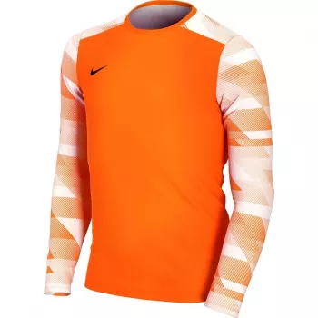 Nike Dry Park IV JSY LS GK Junior Goalkeeper Sweatshirt Orange CJ6072 819 XL
