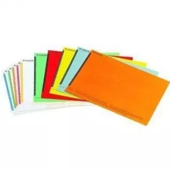 LEITZ Esselte Suspension File Labels for Cabinets, White, 60 x 12 mm, 100 Labels (326400)