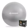 SCHILDKROT Exercise Ball 65 cm Silver Anti-Burst 960156